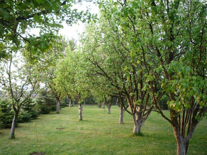 KONKURS Mój dom - moja pasja !, zdjęcie 169