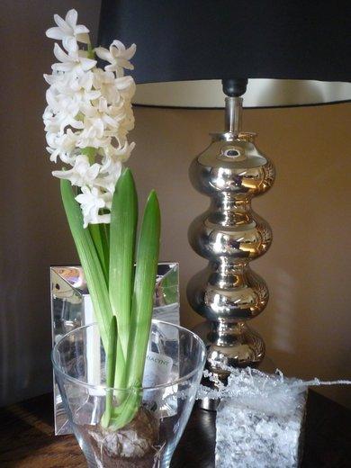 KONKURS Mój dom - moja pasja !, zdjęcie 86