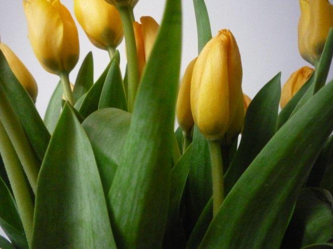 KONKURS Mój dom - moja pasja !, zdjęcie 40