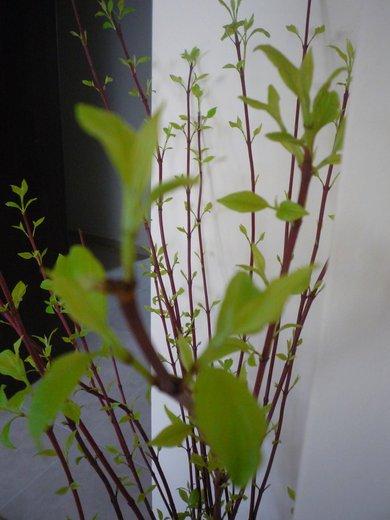 KONKURS Mój dom - moja pasja !, zdjęcie 160