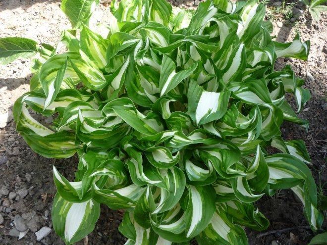 KONKURS Mój dom - moja pasja !, zdjęcie 182