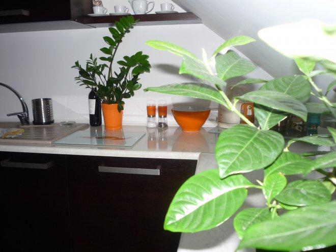 KONKURS Mój dom - moja pasja !, zdjęcie 181