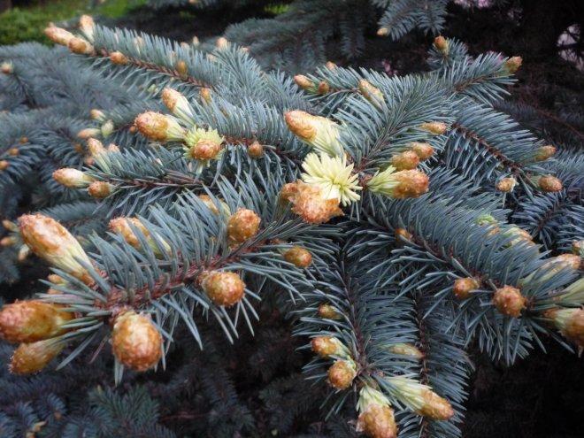 KONKURS Mój dom - moja pasja !, zdjęcie 141