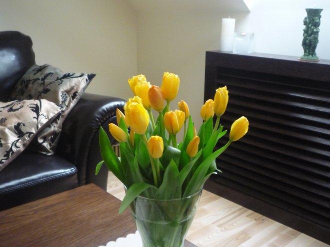 KONKURS Mój dom - moja pasja !, zdjęcie 77