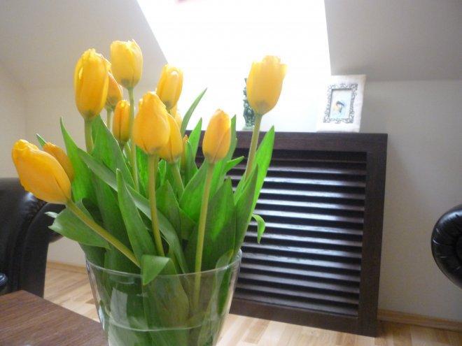 KONKURS Mój dom - moja pasja !, zdjęcie 87