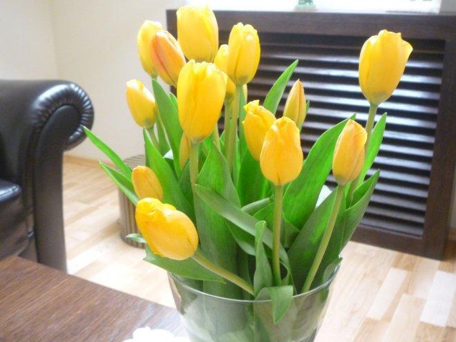 KONKURS Mój dom - moja pasja !, zdjęcie 76