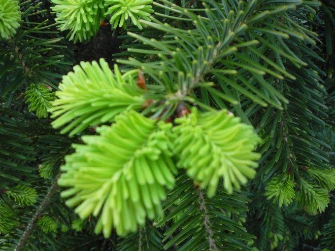 KONKURS Mój dom - moja pasja !, zdjęcie 165