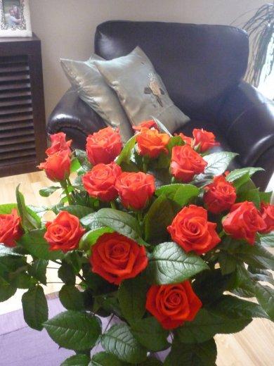 KONKURS Mój dom - moja pasja !, zdjęcie 39