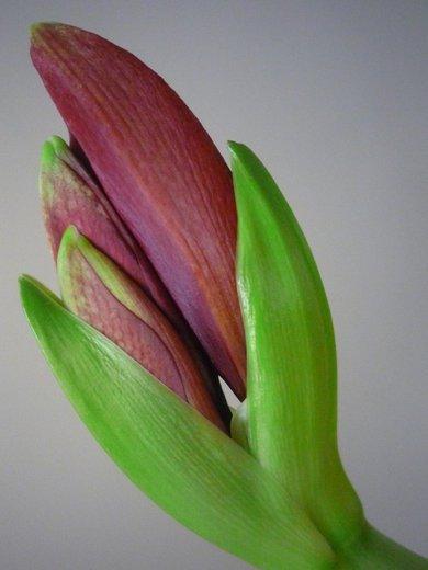 KONKURS Mój dom - moja pasja !, zdjęcie 28