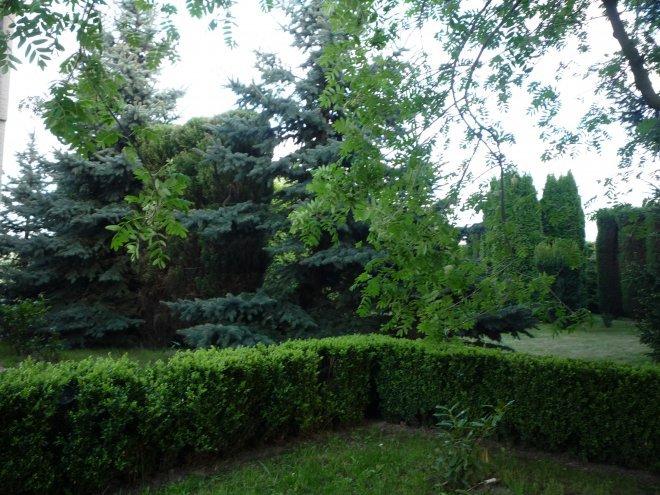 KONKURS Mój dom - moja pasja !, zdjęcie 105