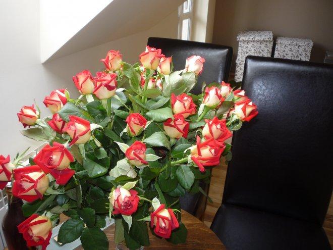 KONKURS Mój dom - moja pasja !, zdjęcie 172