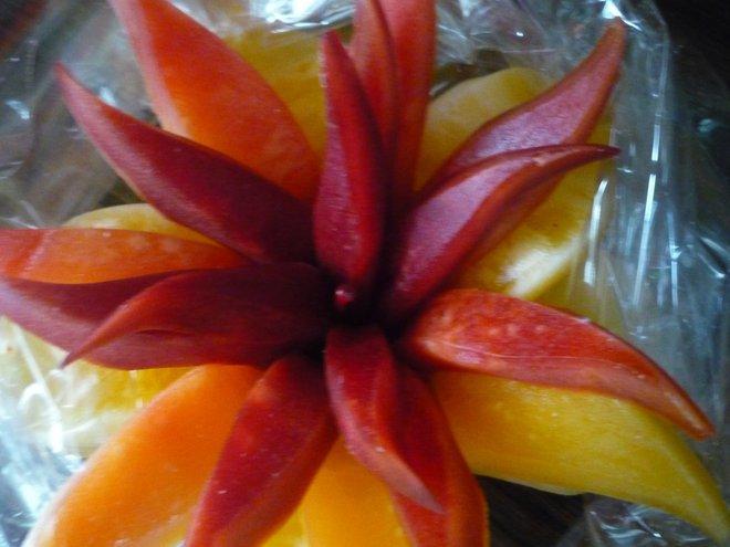 KONKURS Mój dom - moja pasja !, zdjęcie 3