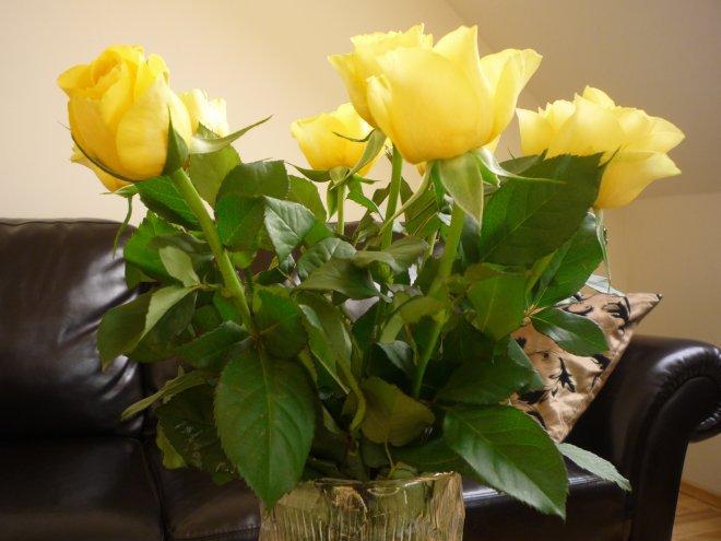 KONKURS Mój dom - moja pasja !, zdjęcie 125