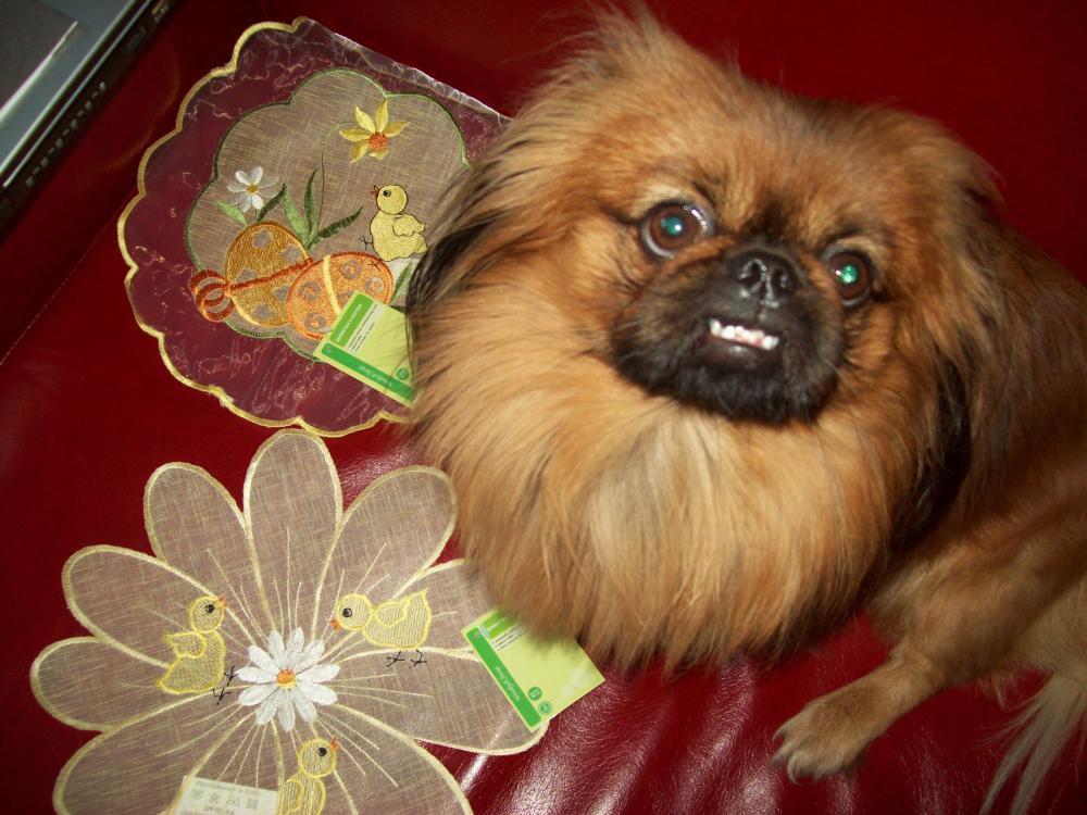 Mój dom- moja pasja, zdjęcie 4