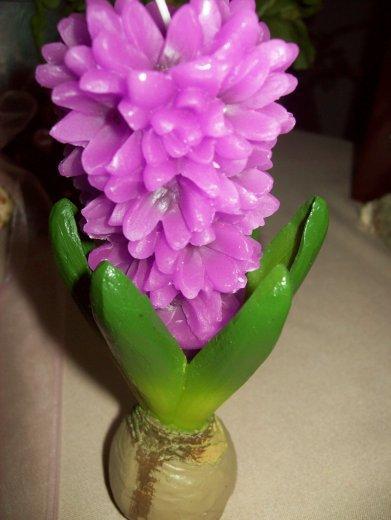 Mój dom- moja pasja, zdjęcie 53