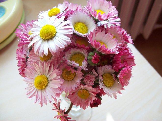 Mój dom- moja pasja, zdjęcie 48