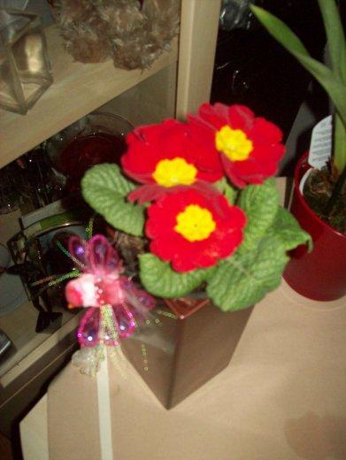 Mój dom- moja pasja, zdjęcie 30