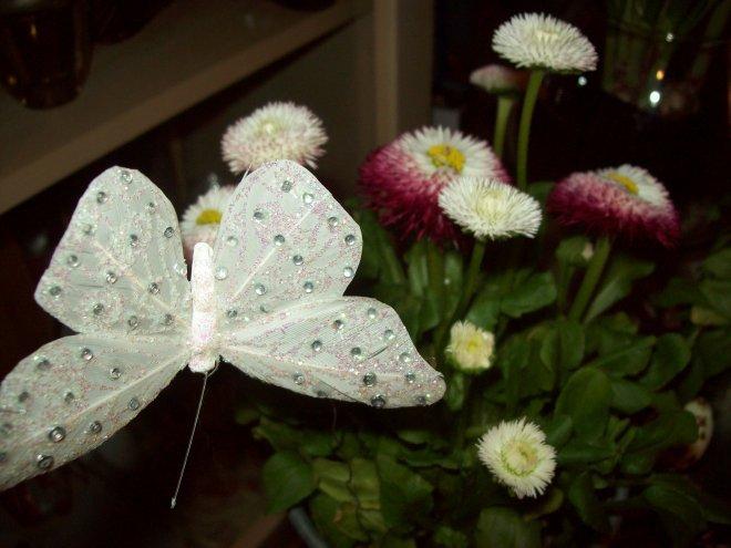 Mój dom- moja pasja, zdjęcie 56