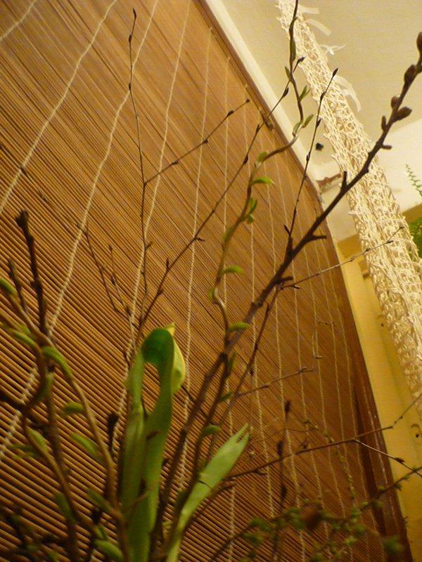 Świąteczna, zdjęcie 40