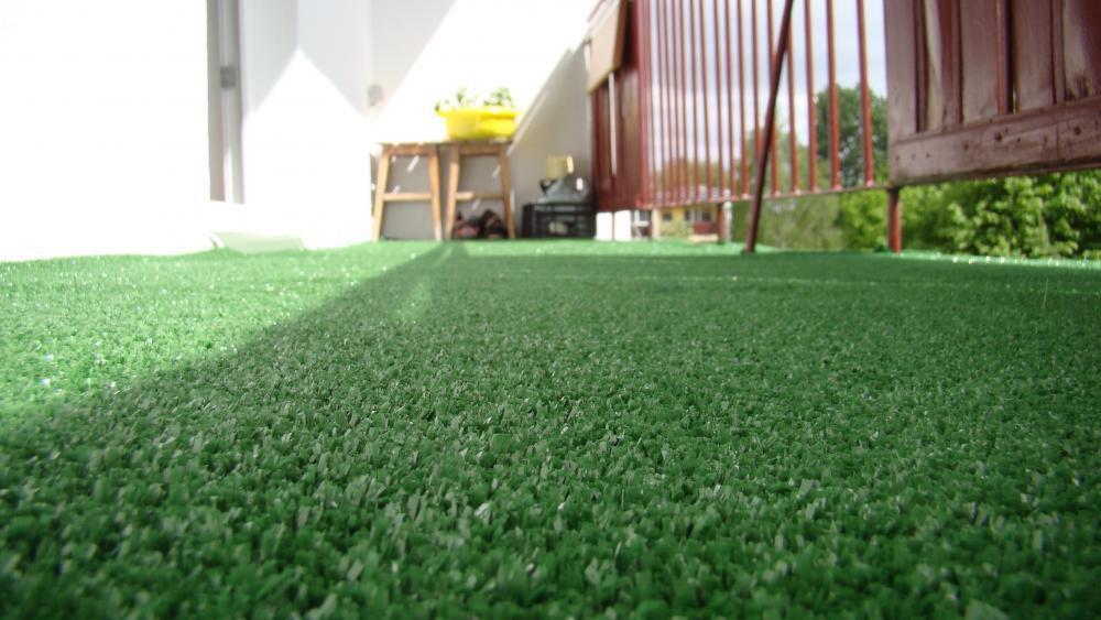 jak na murawie, zdjęcie 1