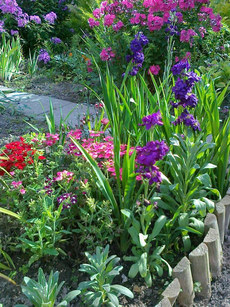 Moje kwiatowa pasja., zdjęcie 11