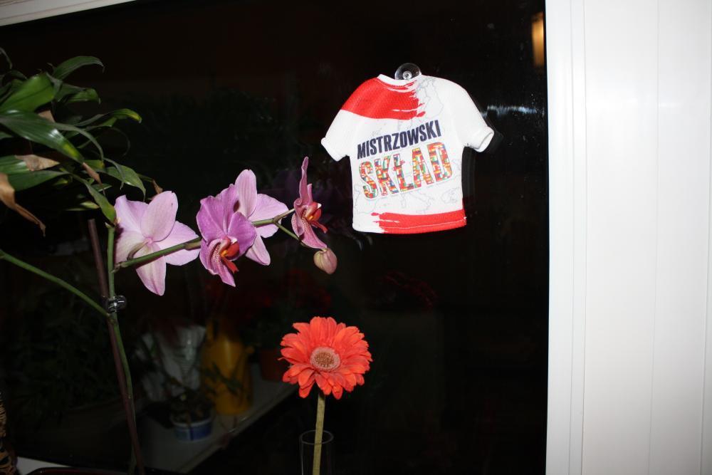 kibicowanie od najmłodszego, zdjęcie 3