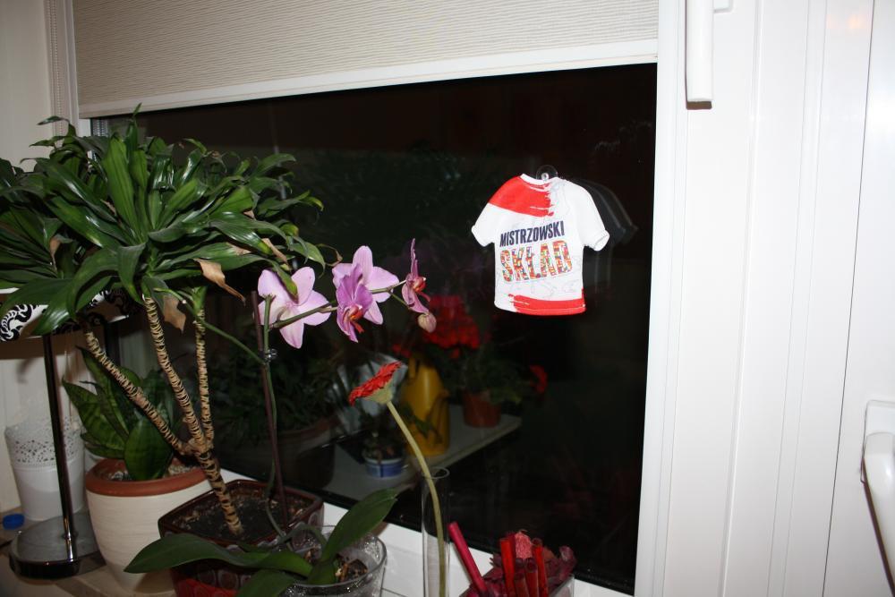 kibicowanie od najmłodszego, zdjęcie 4