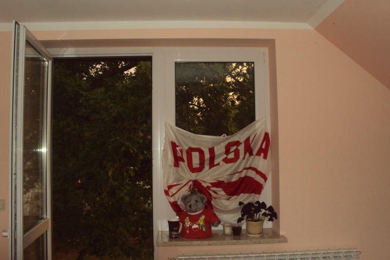 Super Euro Wnętrze, zdjęcie 5