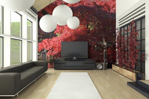 Wizualizacje, zdjęcie 3