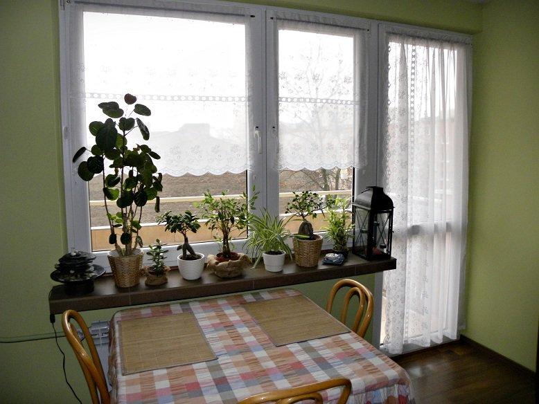 Moje ZIELONE mieszkanie, zdjęcie 2