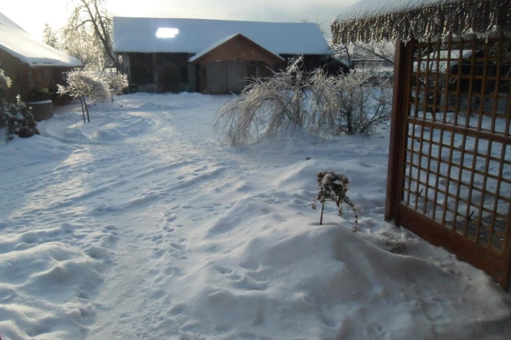 Zima w ogrodzie, zdjęcie 3