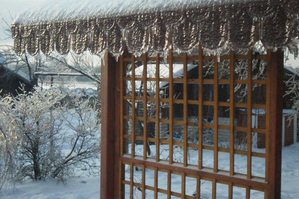 Zima w ogrodzie, zdjęcie 2