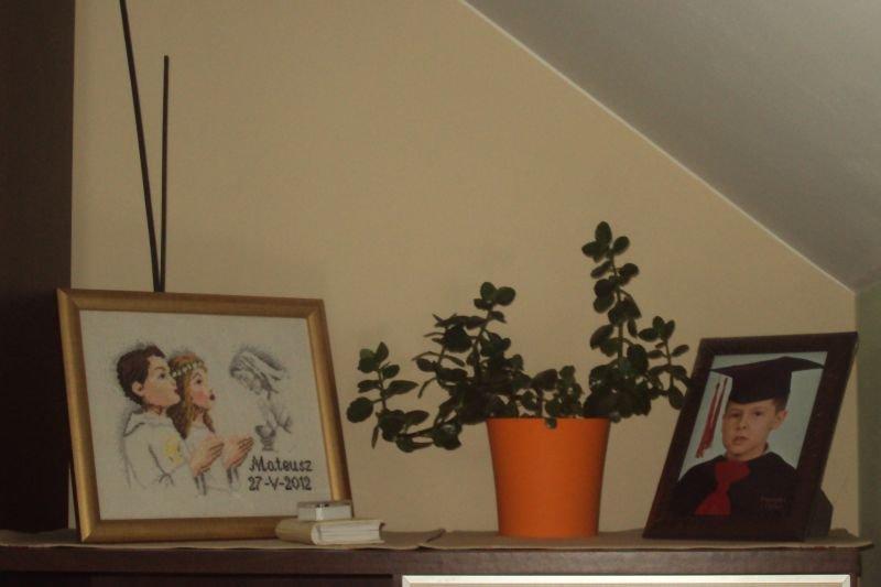 Pokój Mateuszka, zdjęcie 1