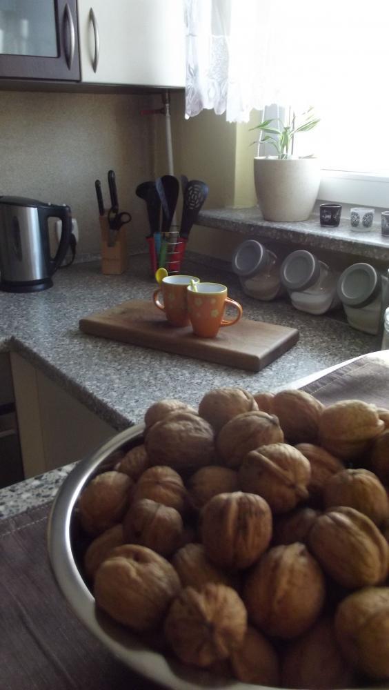 malutka kuchnia, zdjęcie 3