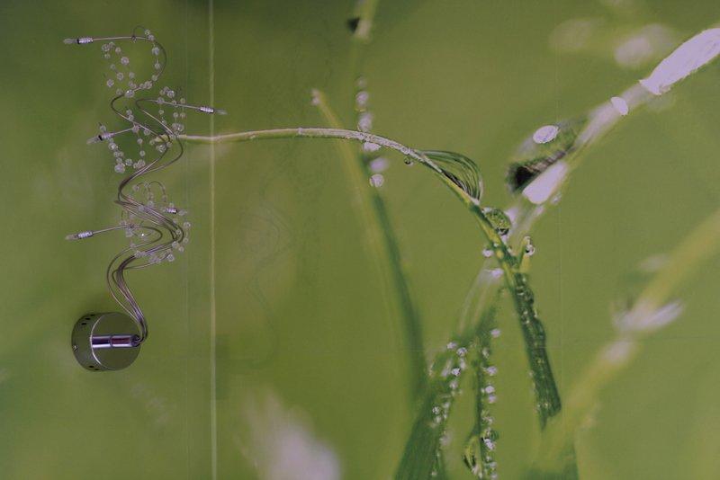 Wiosenne przebudzenie, zdjęcie 7