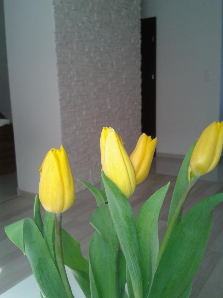 ciepły salon, zdjęcie 15