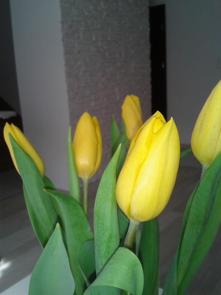 ciepły salon, zdjęcie 13