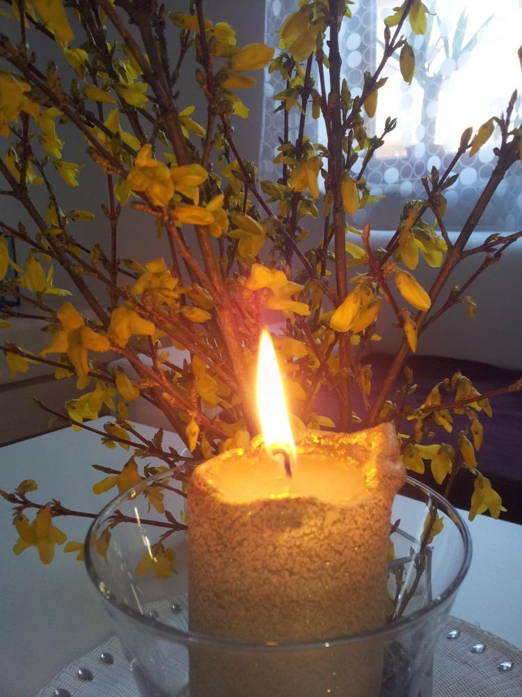 ciepły salon, zdjęcie 8