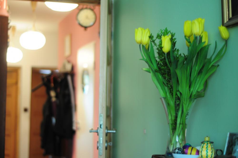 Domowe inspiracje, zdjęcie 5