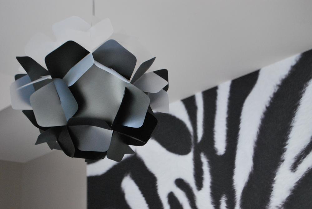 Zwierzęce inspiracje , zdjęcie 1