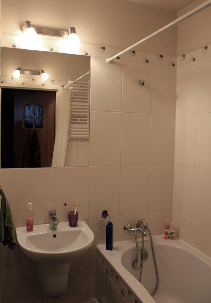 Tulipany, zdjęcie 8