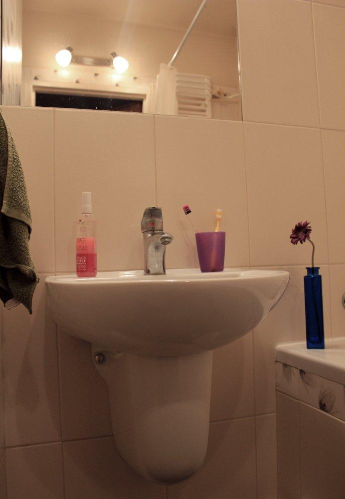 Tulipany, zdjęcie 3