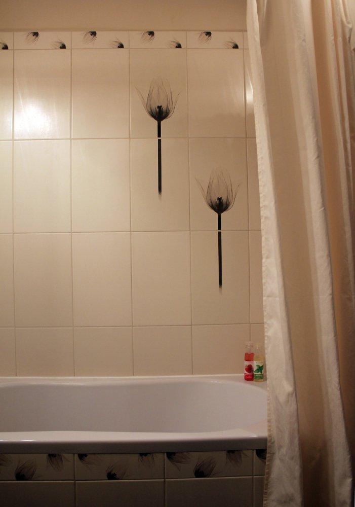 Tulipany, zdjęcie 7