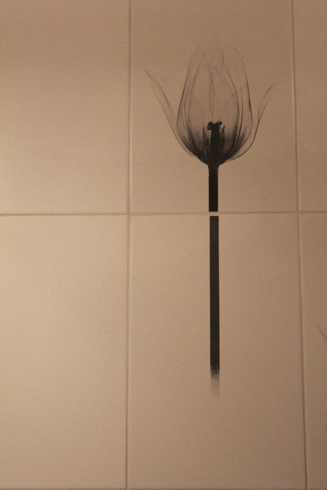 Tulipany, zdjęcie 5