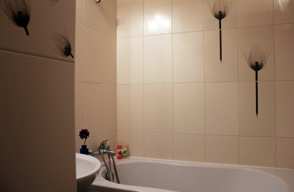 Tulipany, zdjęcie 2