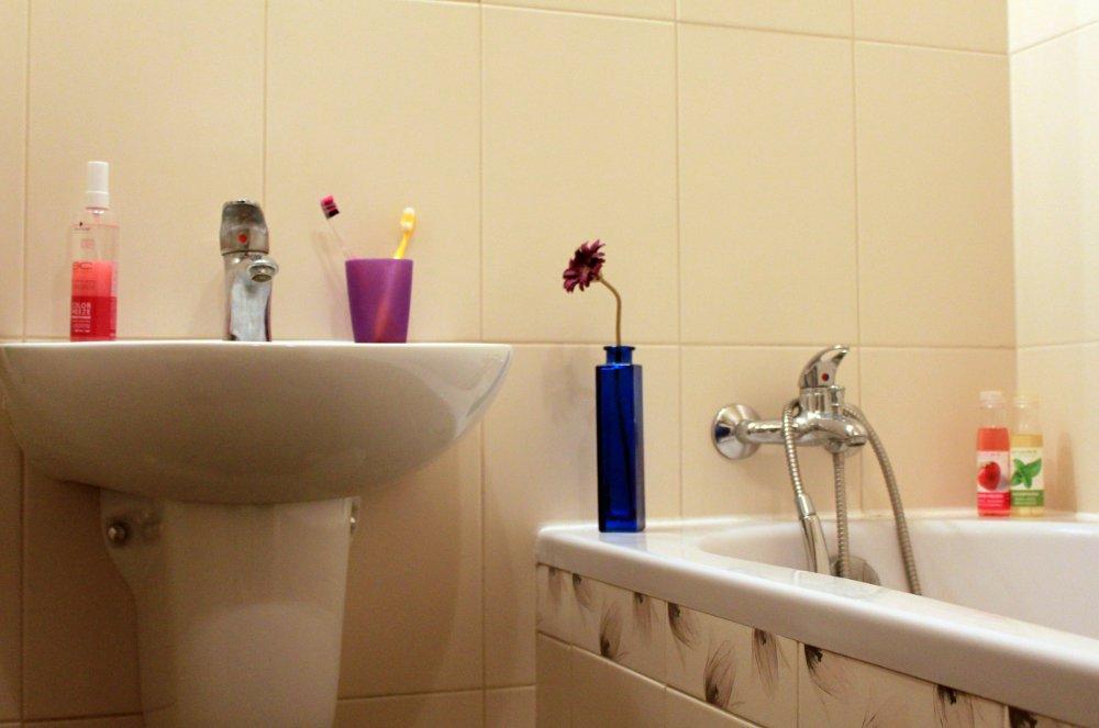 Tulipany, zdjęcie 1