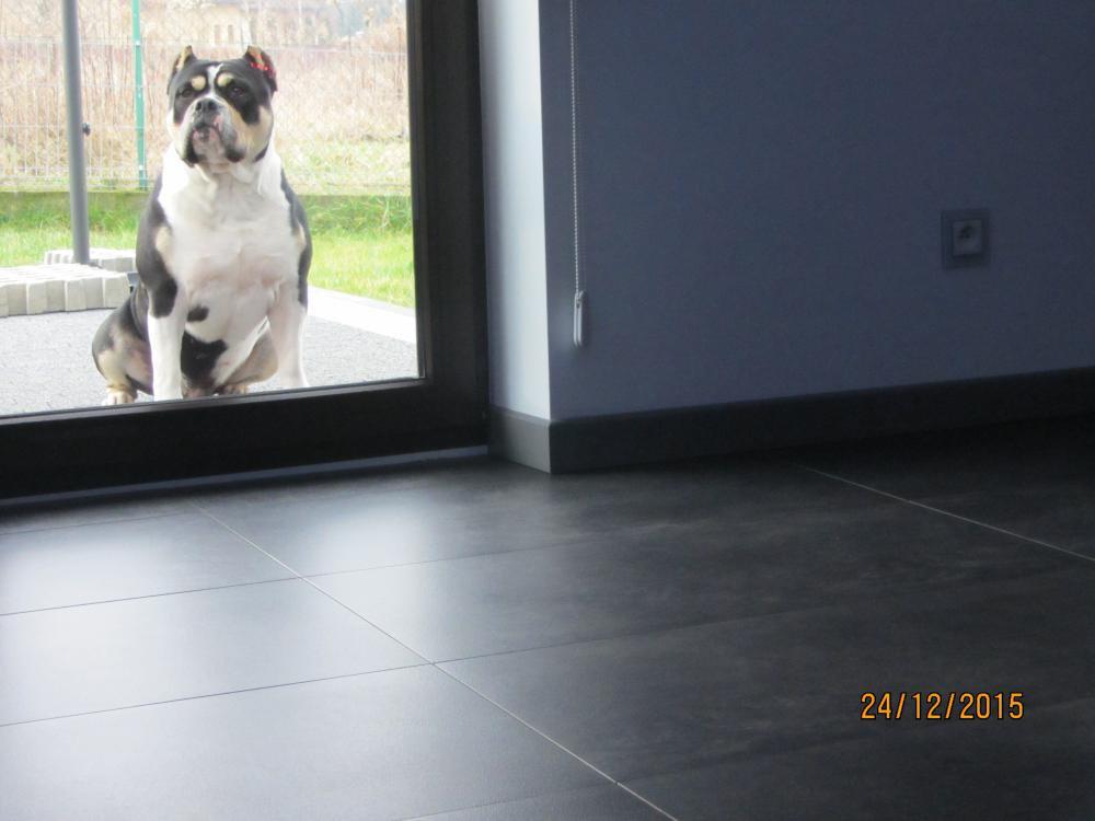 Dom Paradyz Taranto Grafit mat, zdjęcie 4