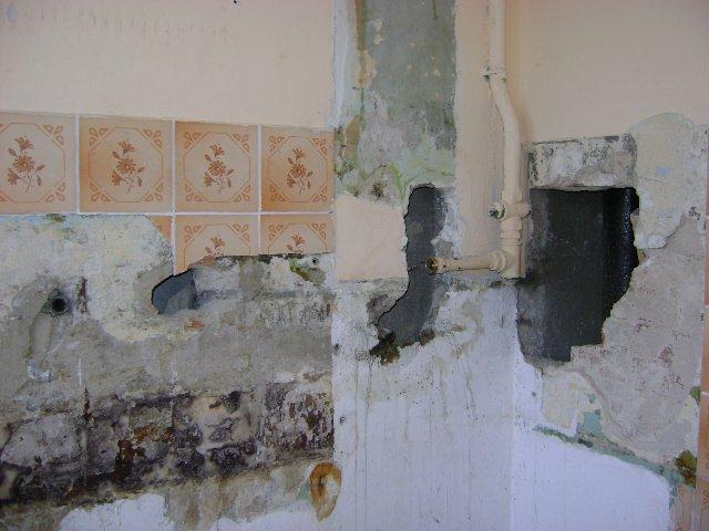 zdjecia do konkursu, zdjęcie 1