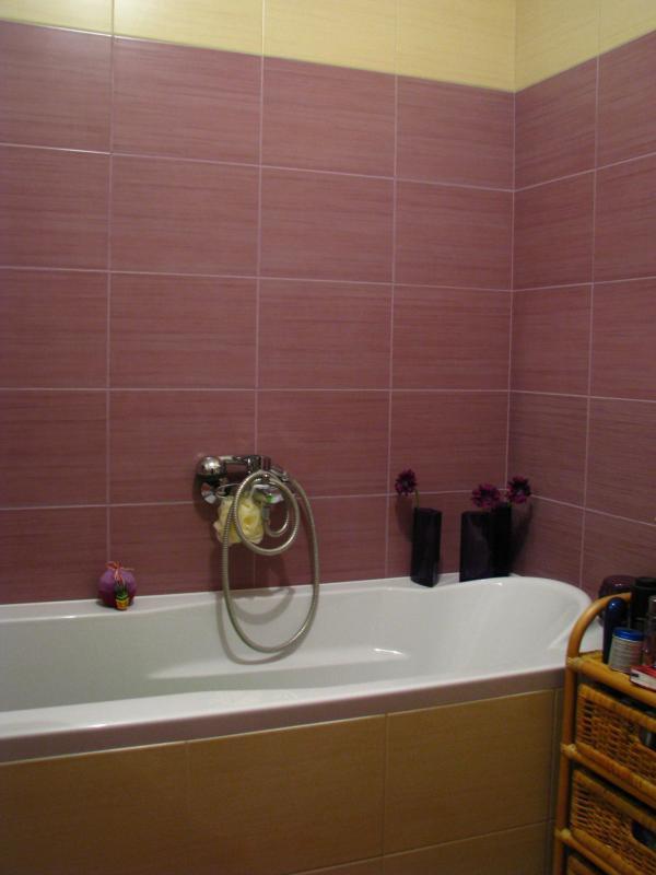 Łazienka Firletka, zdjęcie 3