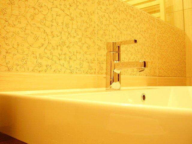 Opoczno Zebrano, zdjęcie 9